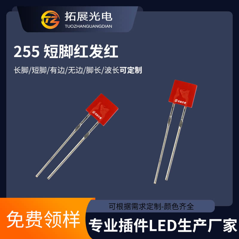 2*5*5燈珠 2*5*5燈珠